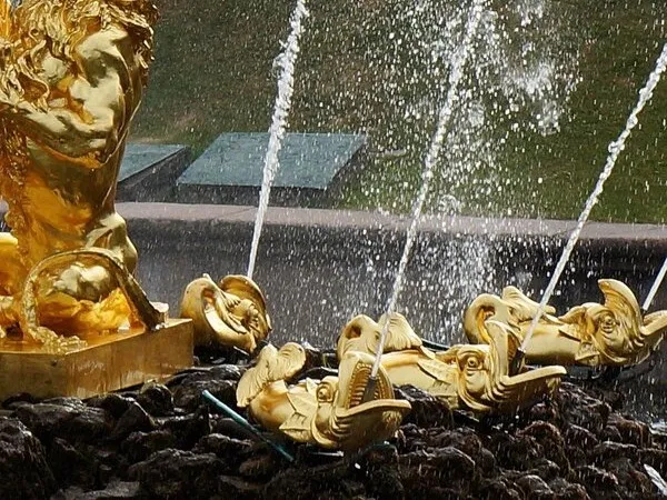 Дель­фи­ны