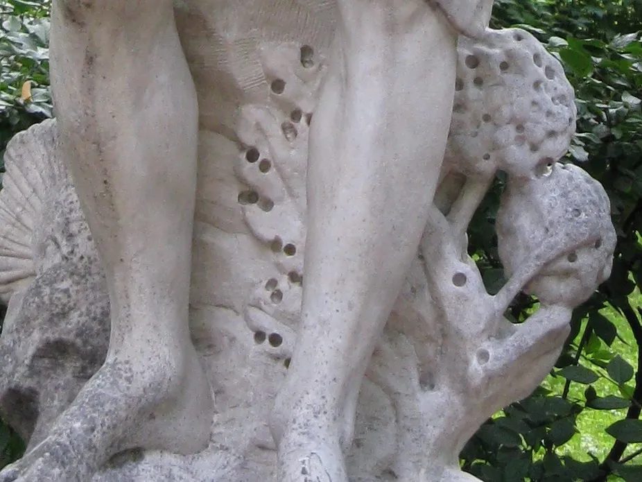 Цве­ты дур­ма­на