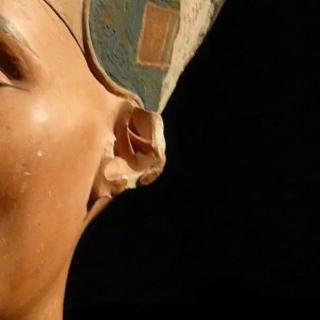 Ско­лы уш­ных ра­ковин