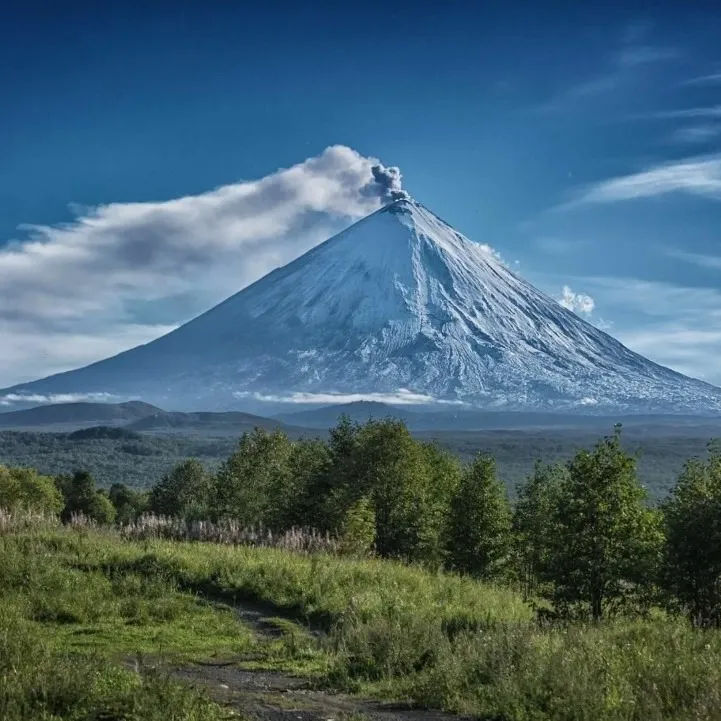 Ак­тивные (дей­ству­ющие)