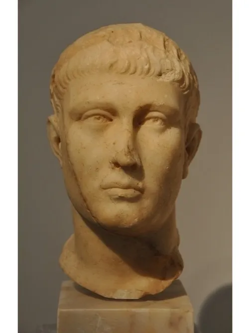 Зап­рет куль­та ко­шек