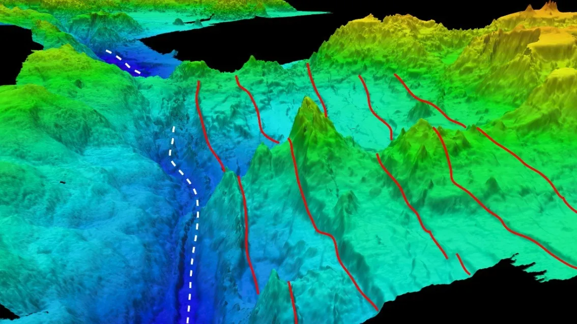 Экс­тре­маль­ные ус­ло­вия сре­ды