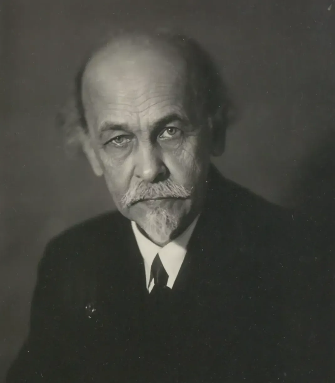 Вла­димир Фё­доро­вич Мит­ке­вич