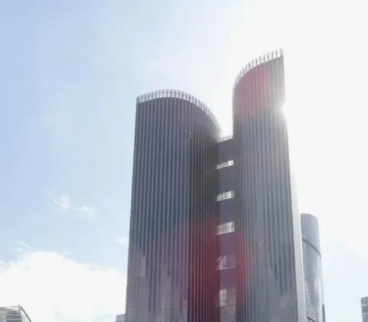 Лан­цетные листья в пла­не