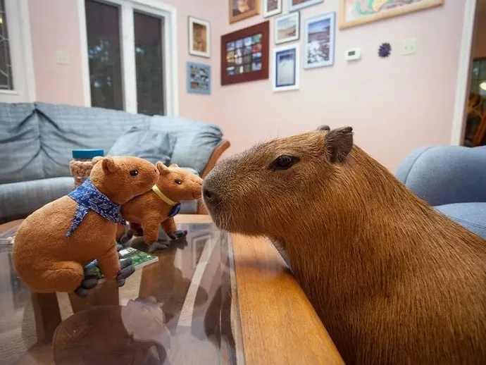 Со­ци­аль­ные пот­ребнос­ти