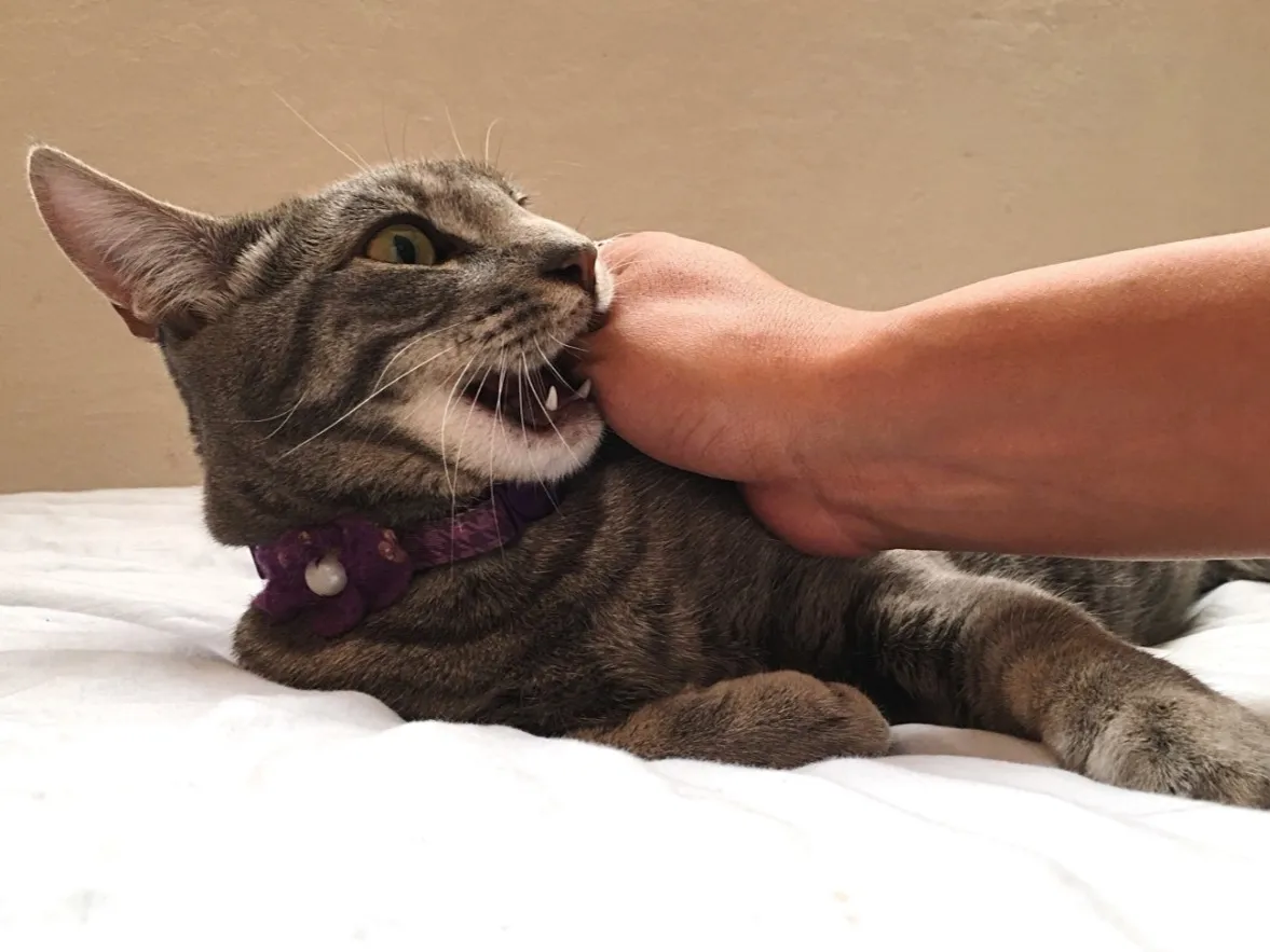 Ущерб пси­хике