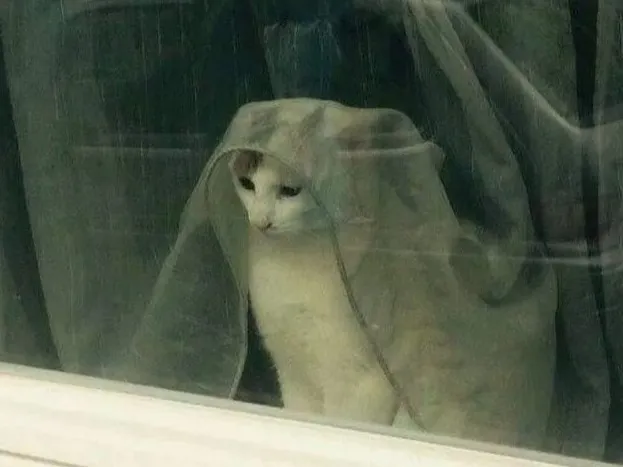 Воз­никно­вение апа­тии