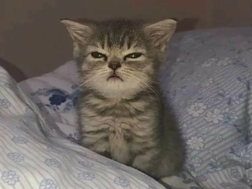 На­руше­ние би­орит­мов