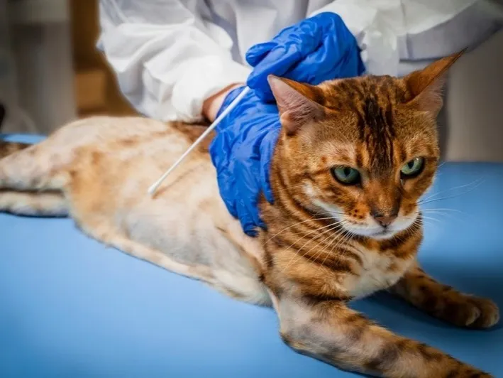 Риск бо­лез­ней