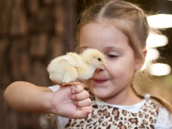 Риск рас­простра­нения бо­лез­ней