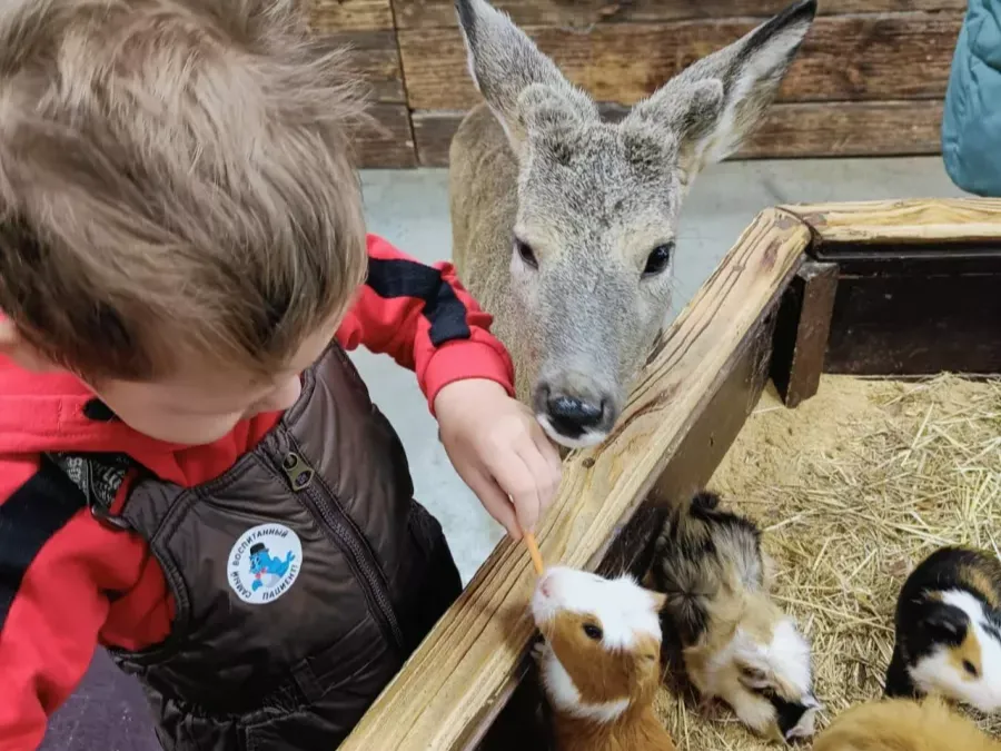 На­руше­ние ес­тес­твен­ных ин­стинктов