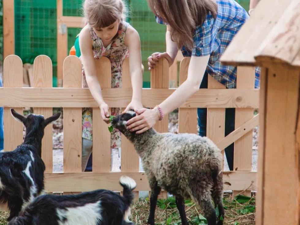 Экс­плу­ата­ция ра­ди при­были