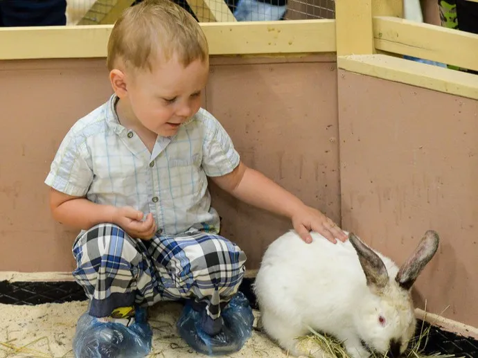 Лож­ное пред­став­ле­ние о ди­кой при­роде